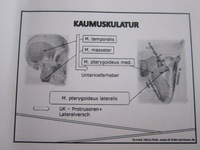 Vortrag Dr._Krah_003